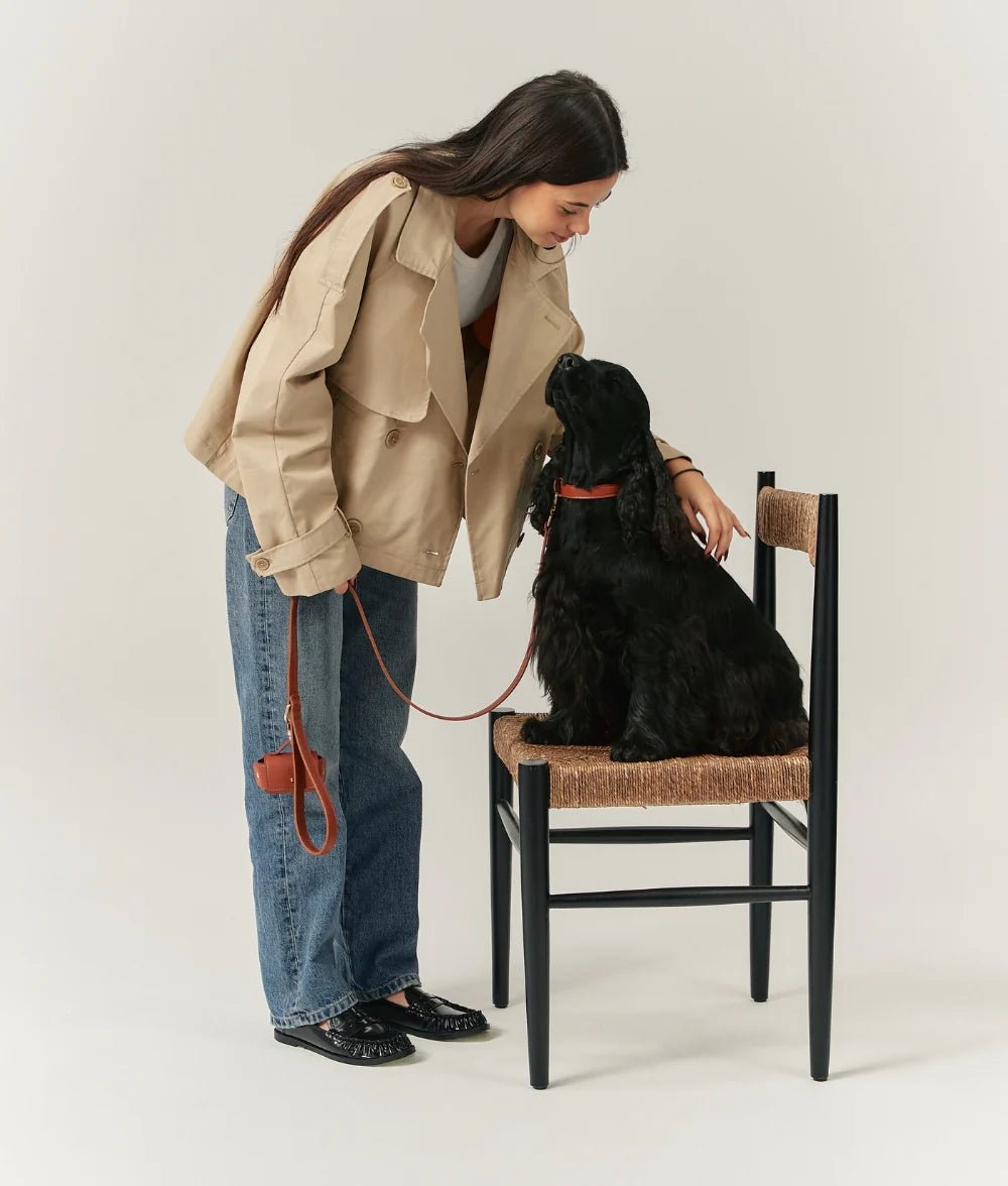 Obroża ze skóry wegańskiej Jala Brązowa - Codino