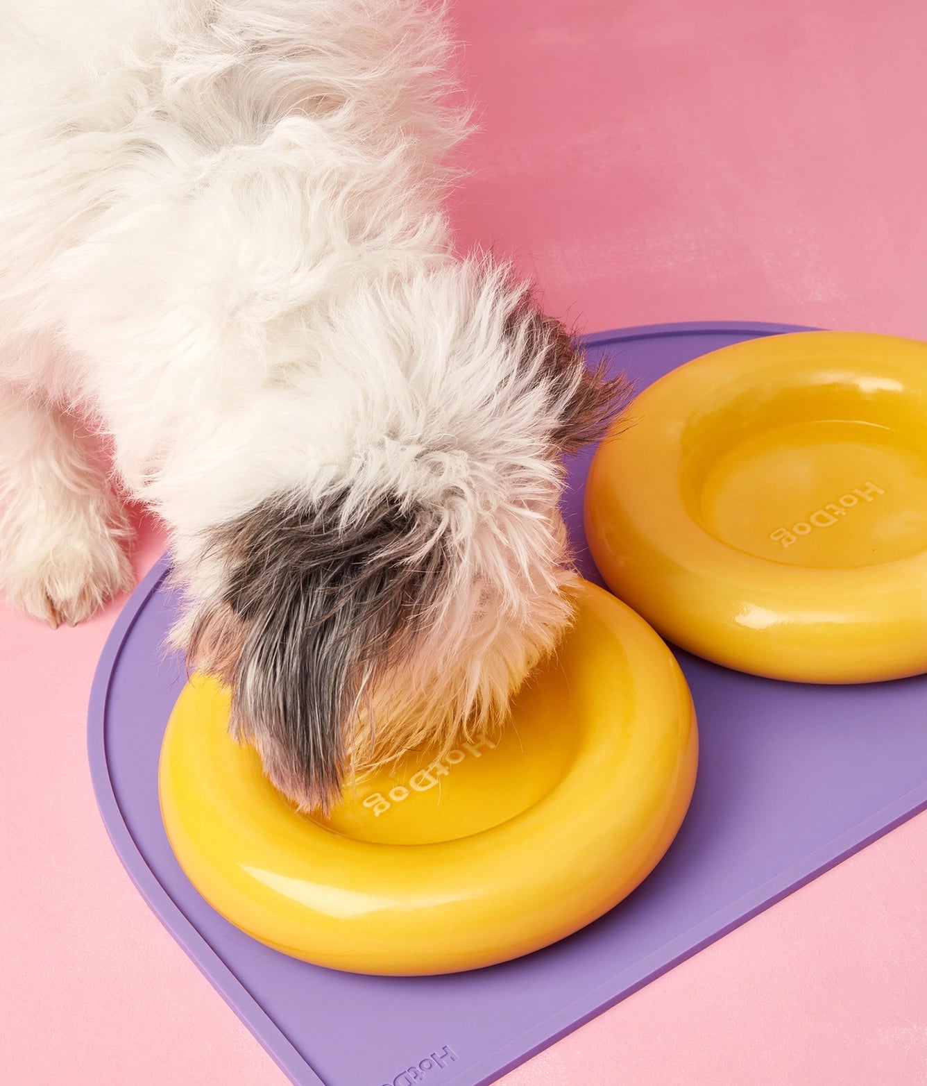 Ceramiczna miska dla psa - Żółta - Codino