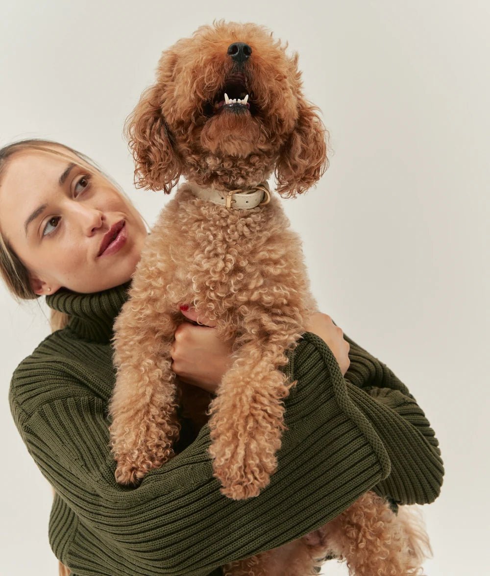 Obroża Jala Beżowa - Codino