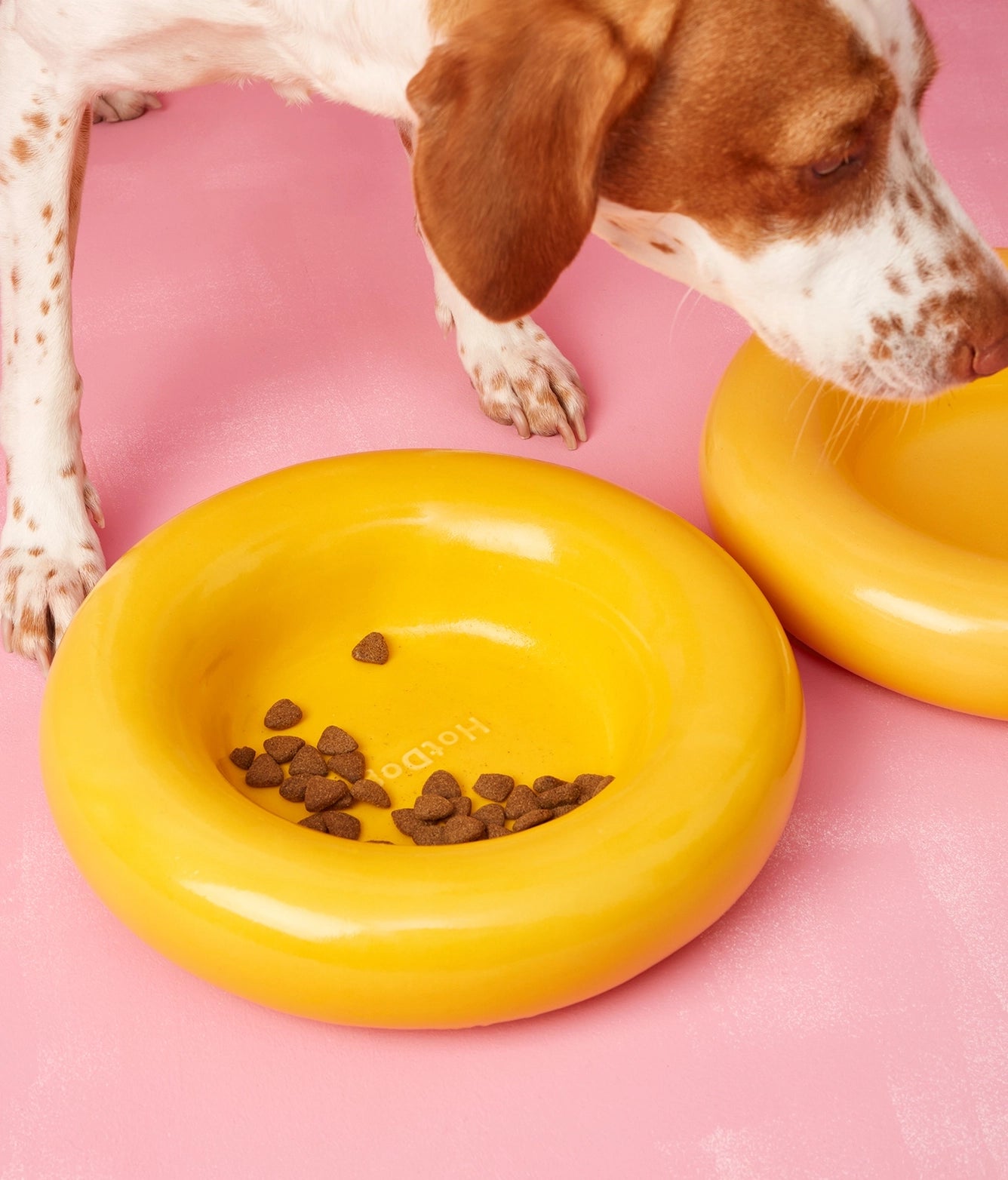 Ceramiczna miska dla psa - Żółta - Codino