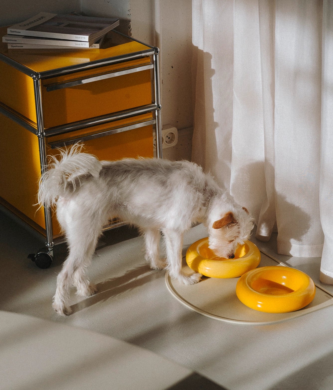 Ceramiczna miska dla psa - Żółta - Codino