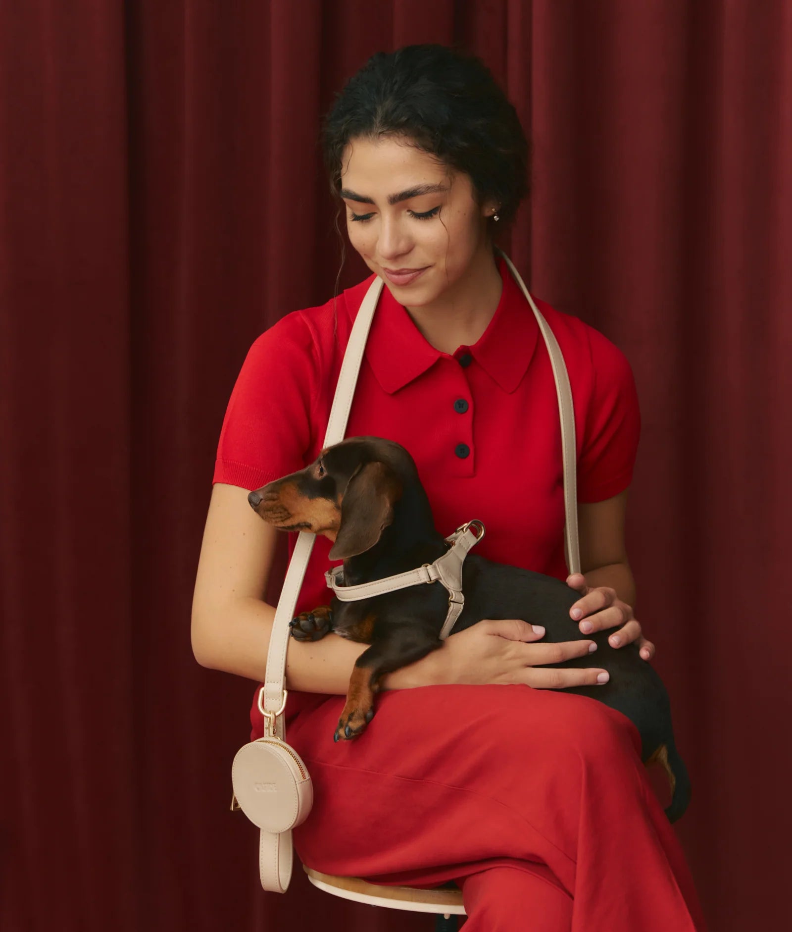 Szelki dla psa "Step In" Jala Brązowe - Codino