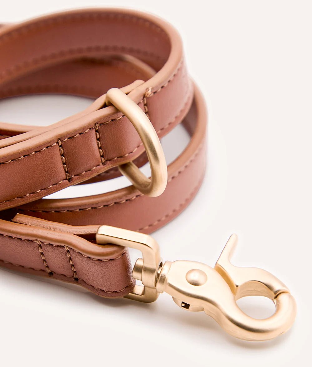 Zestaw Obroża i Smycz Jala Brązowy Standard 145 cm - Codino