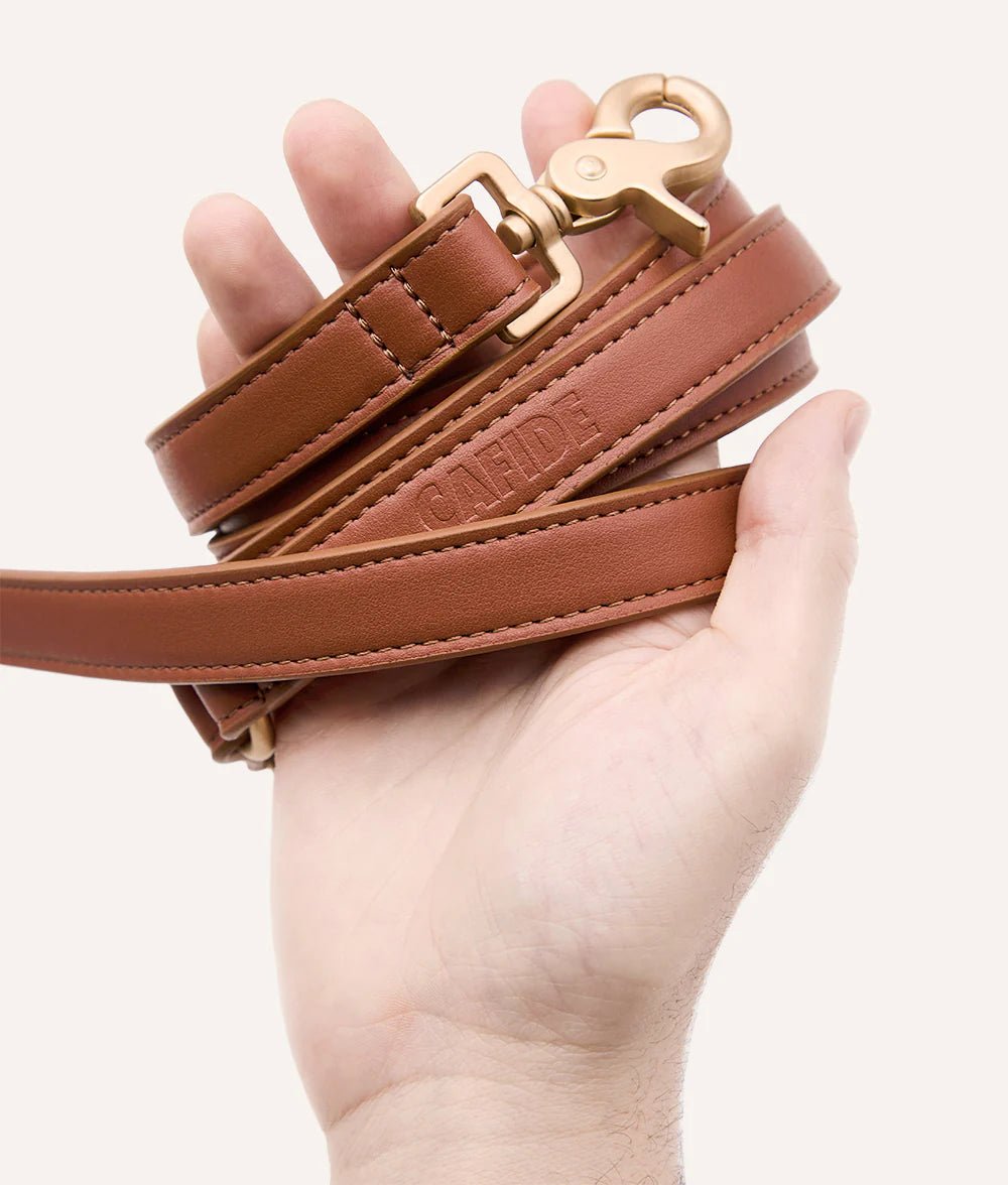 Zestaw Obroża i Smycz Jala Brązowy Standard 145 cm - Codino