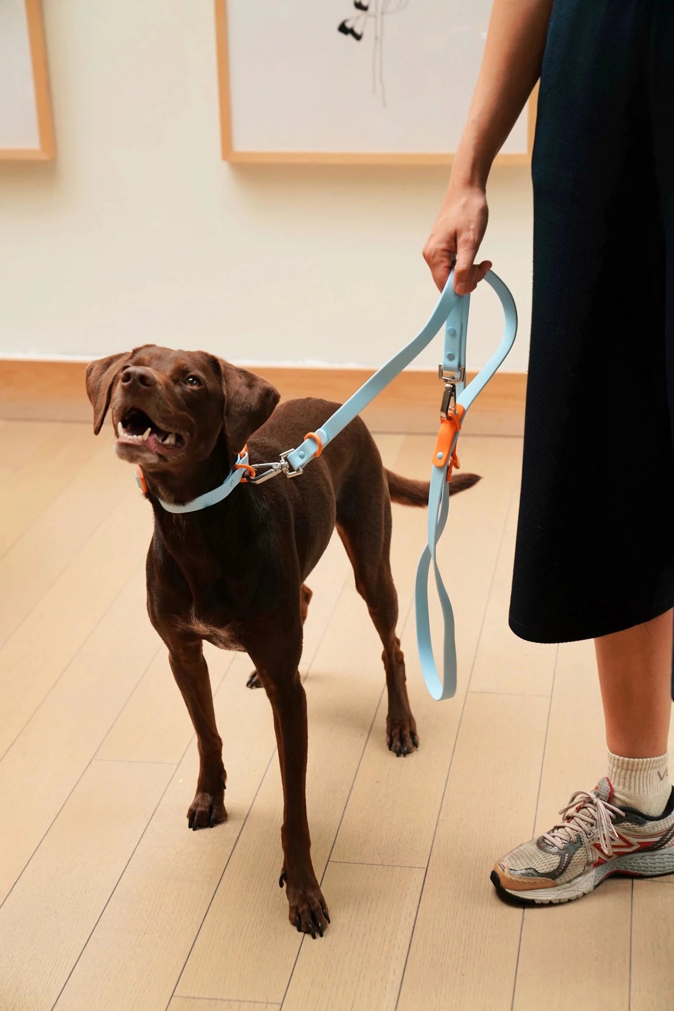 Zestaw The Fritz Baby Blue Orange - Codino