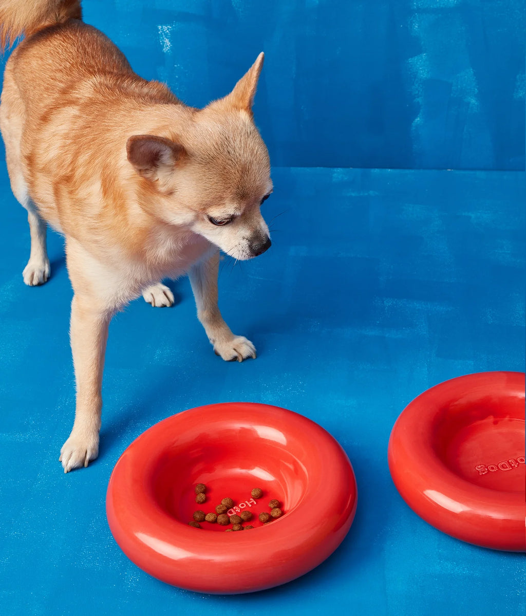 Ceramiczna miska dla psa - Czerwona - Codino