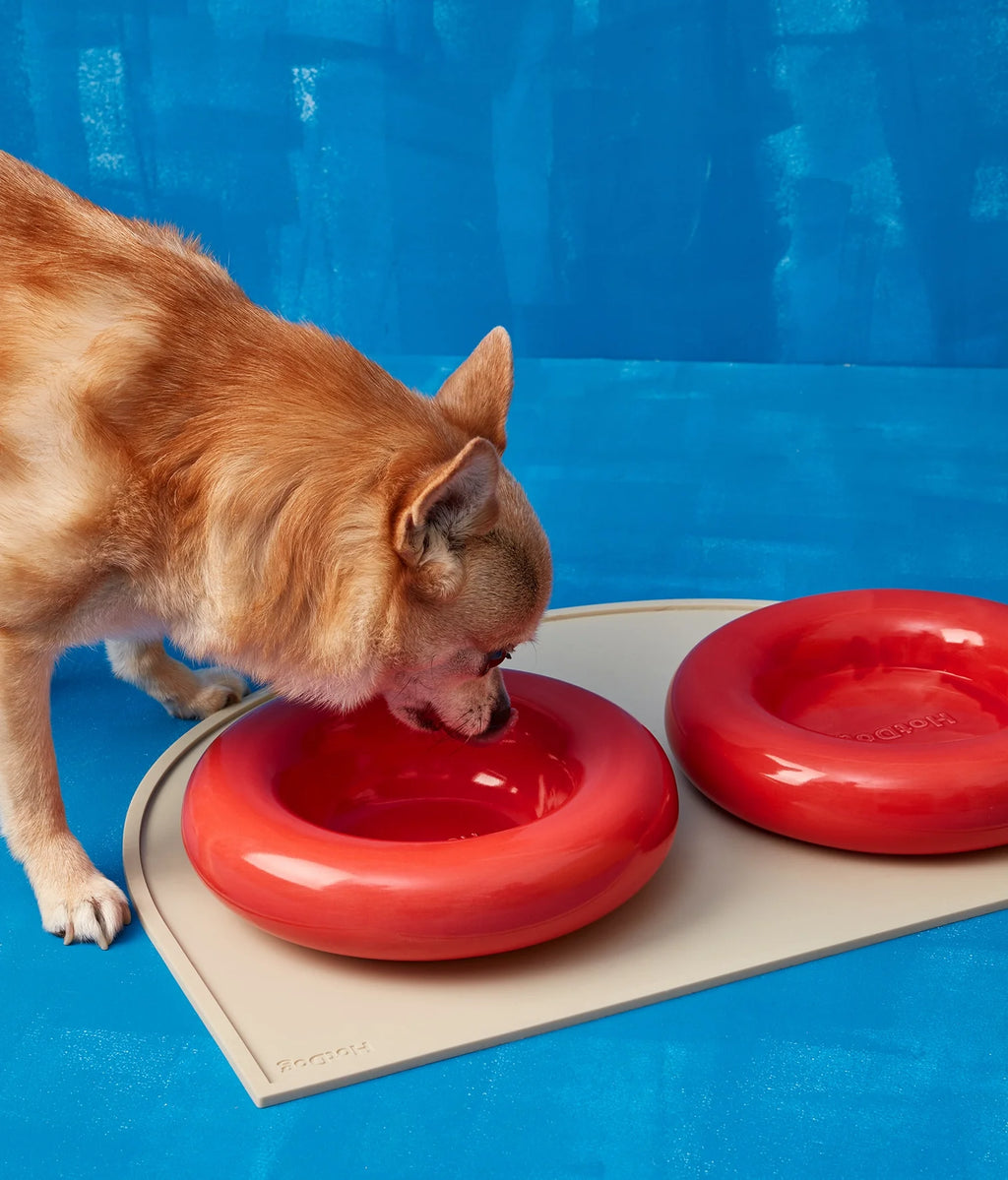 Ceramiczna miska dla psa - Czerwona - Codino