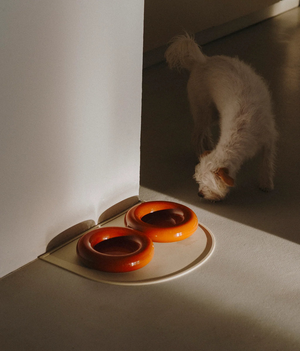 Ceramiczna miska dla psa - Brązowa - Codino