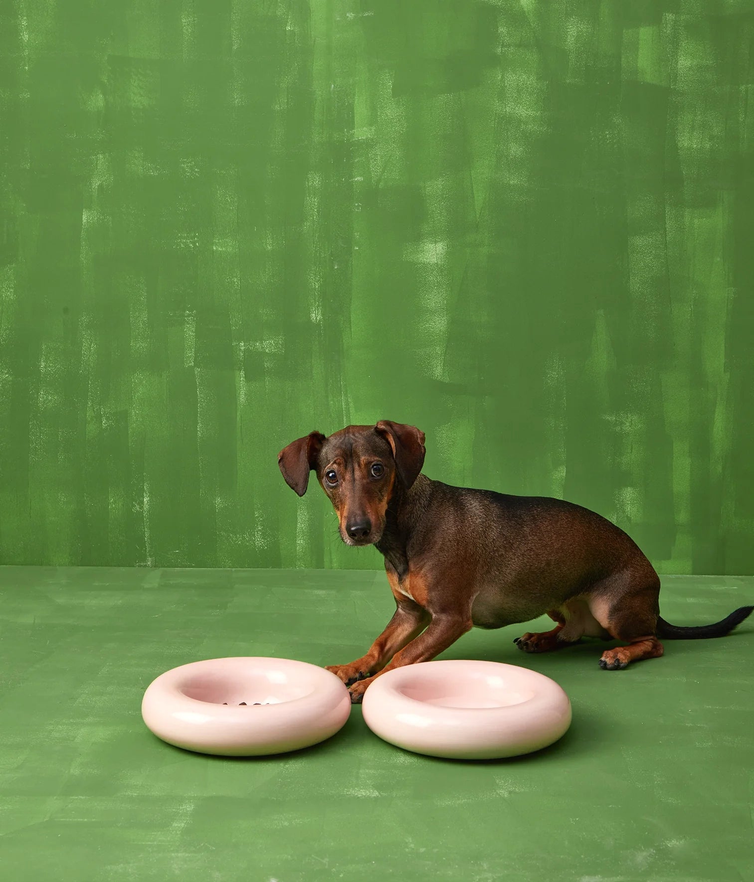 Ceramiczna miska dla psa - Różowa - Codino