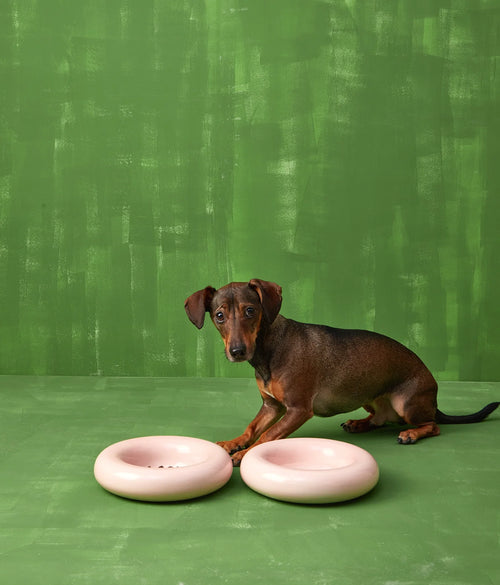 Ceramiczna miska dla psa - Różowa - Codino