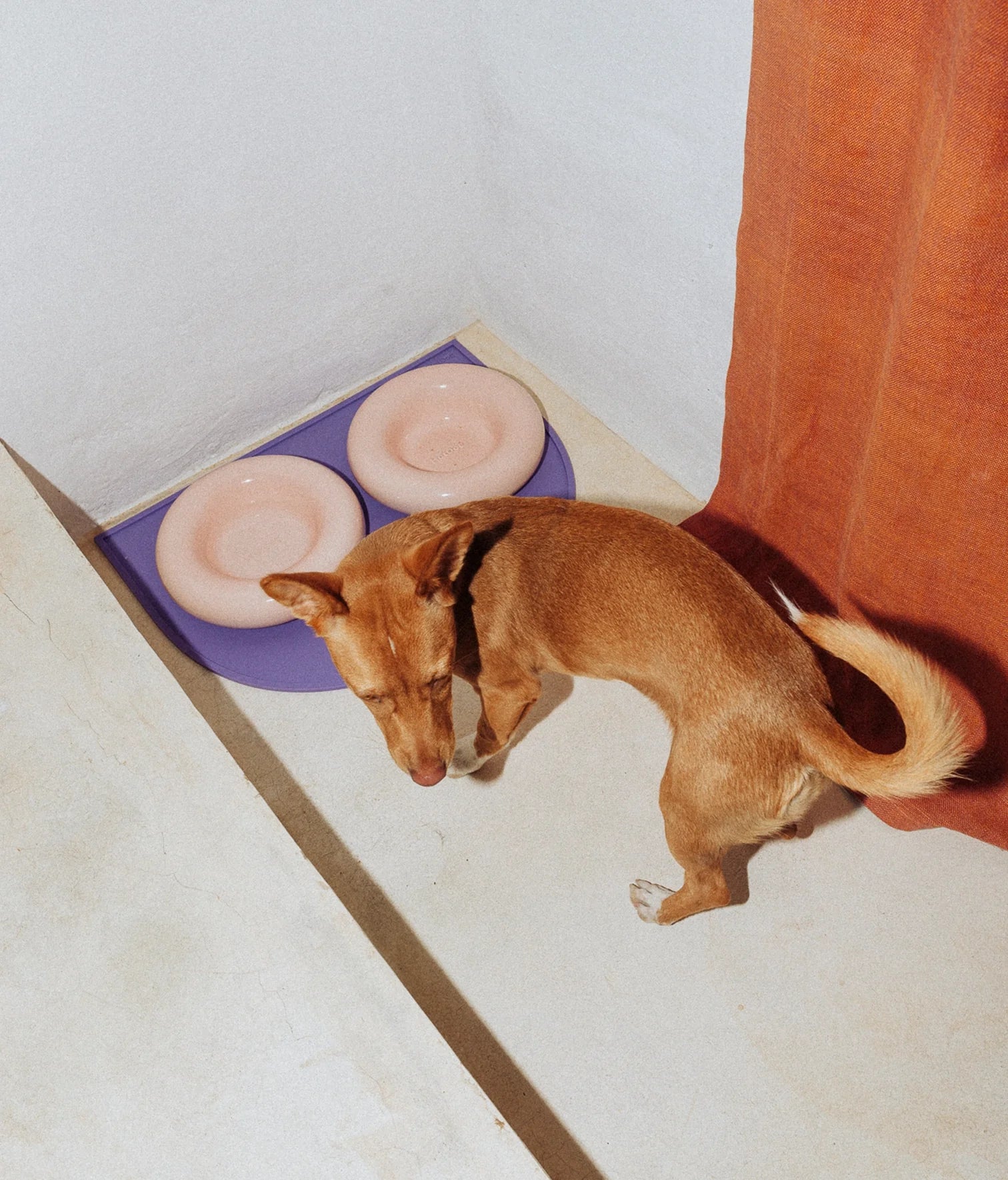 Ceramiczna miska dla psa - Różowa - Codino