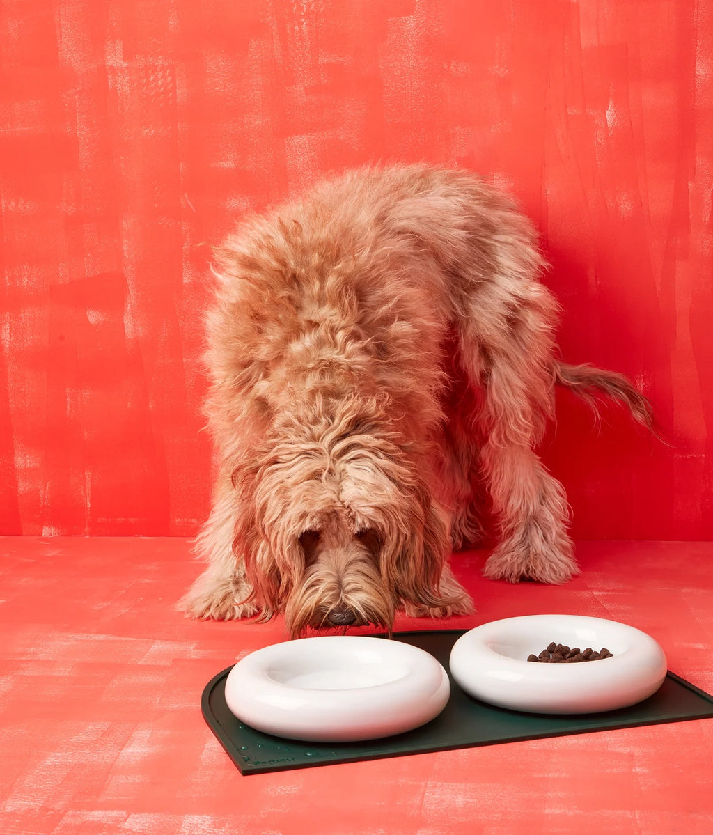 Ceramiczna miska dla psa - Biała - Codino