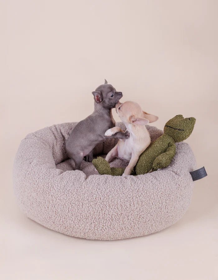 Legowisko Nest chmurka dla małego lub średniego psa - Codino