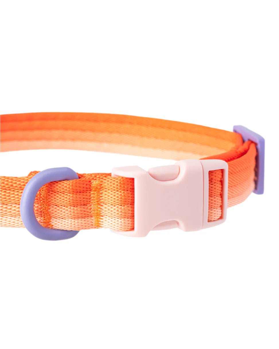 Obroża Marshmallow Sunset Orange - Codino