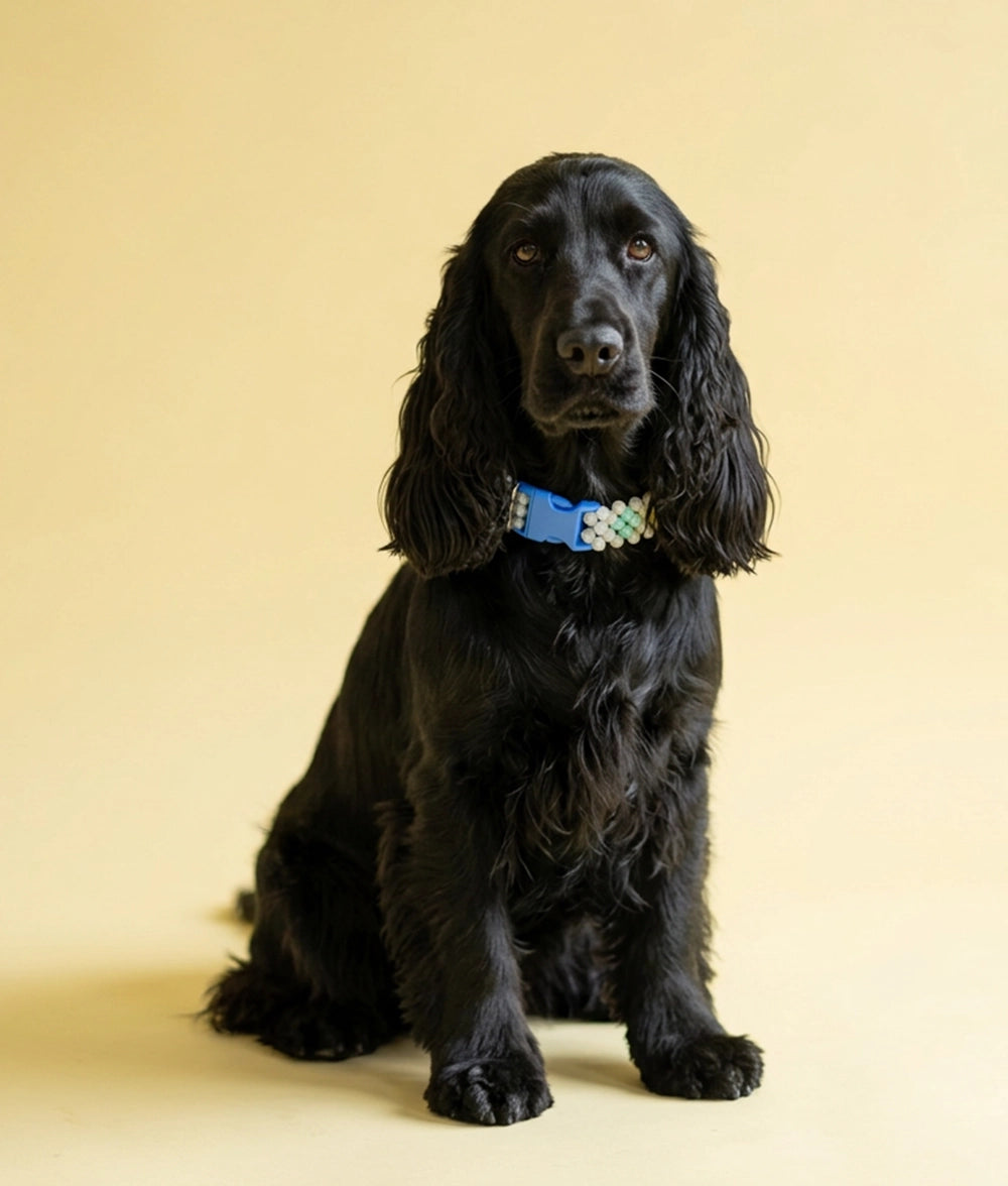 Obroża z koralików Pastel Pop