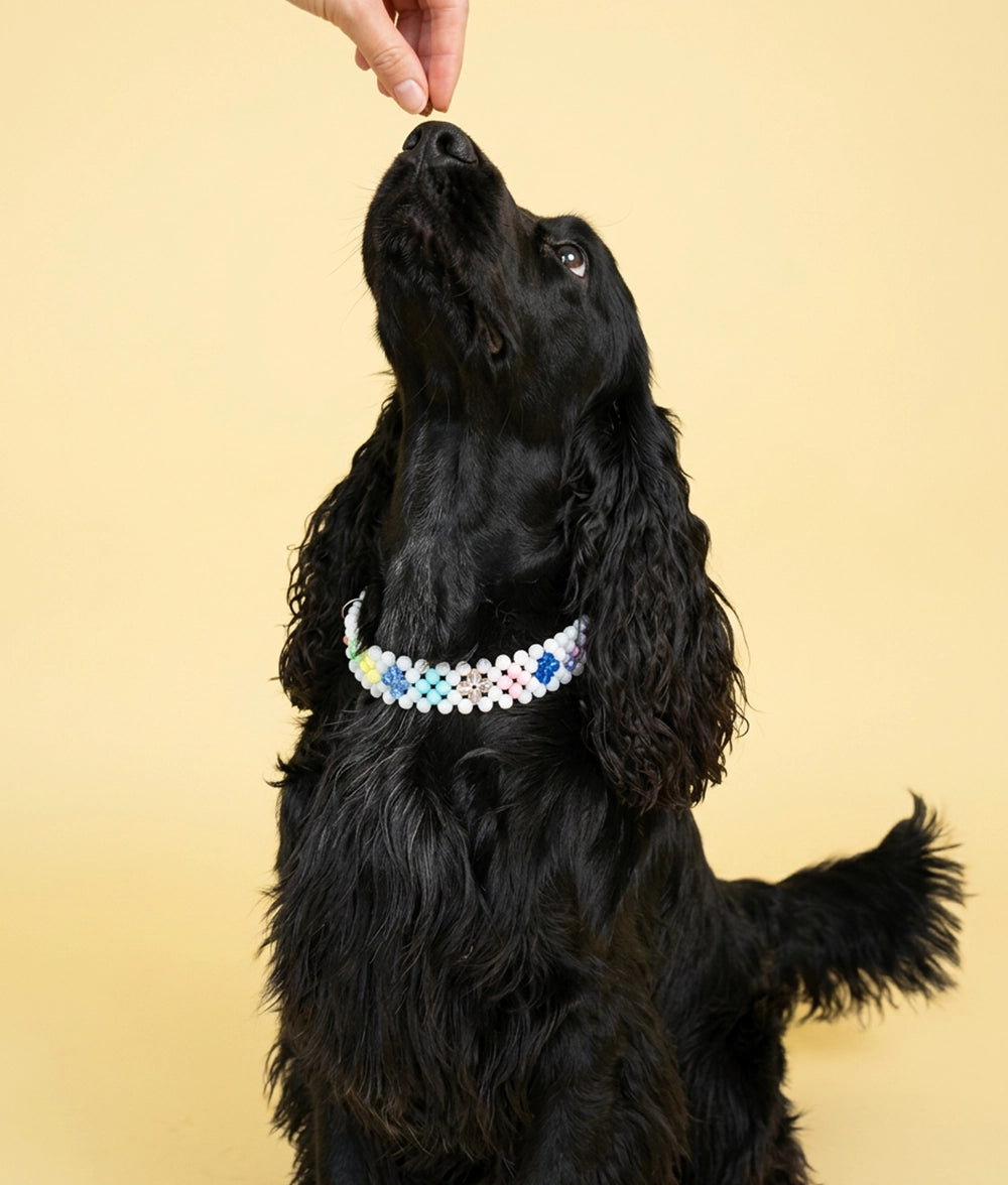 Obroża z koralików Pastel Pop