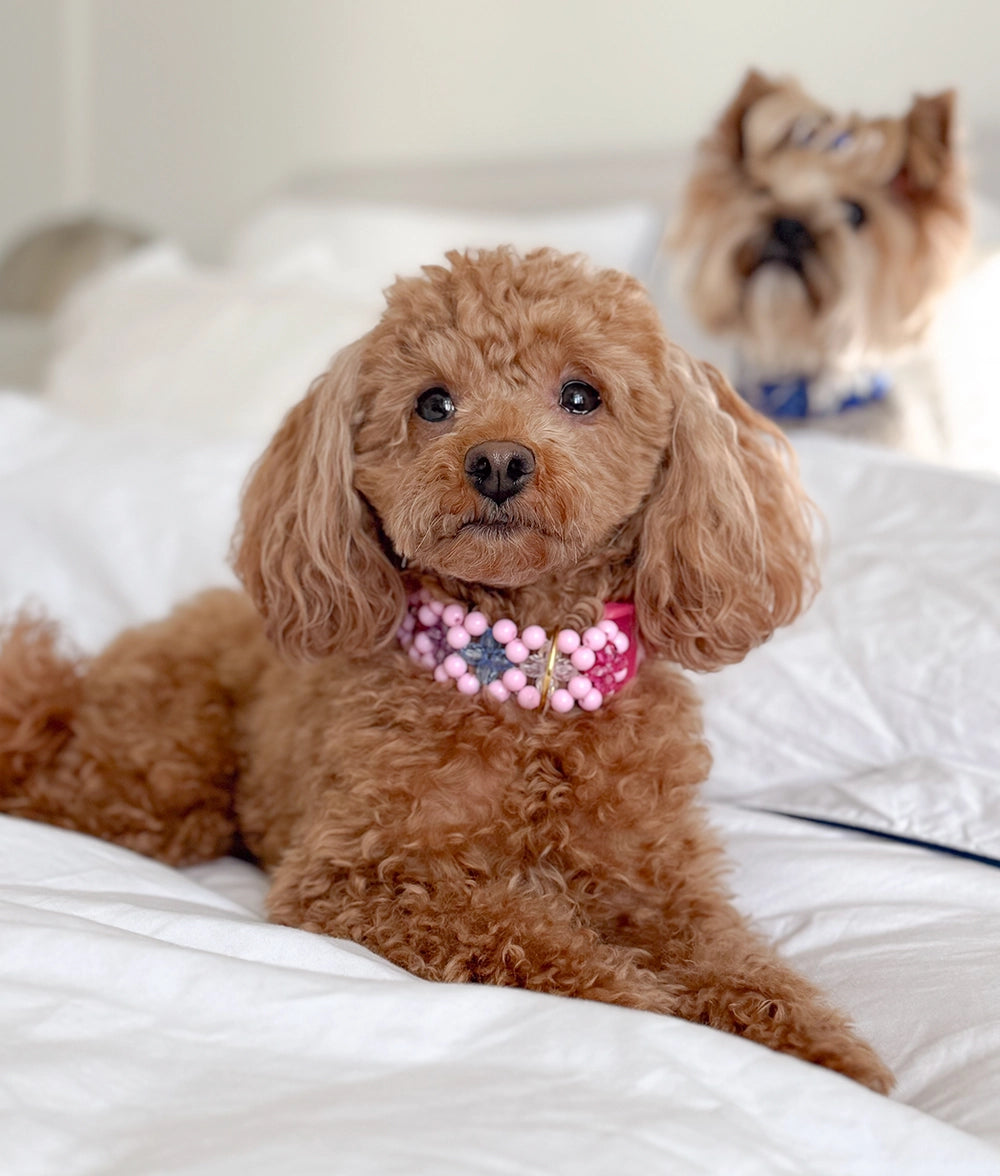 Obroża z koralików Bubble Gum