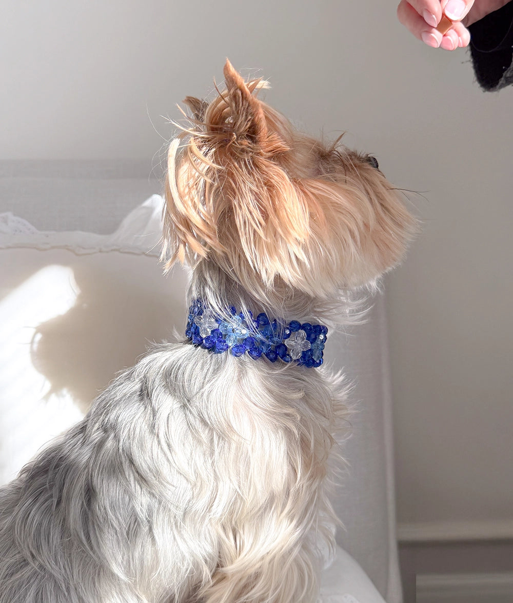 Obroża z koralików Midnight Blue