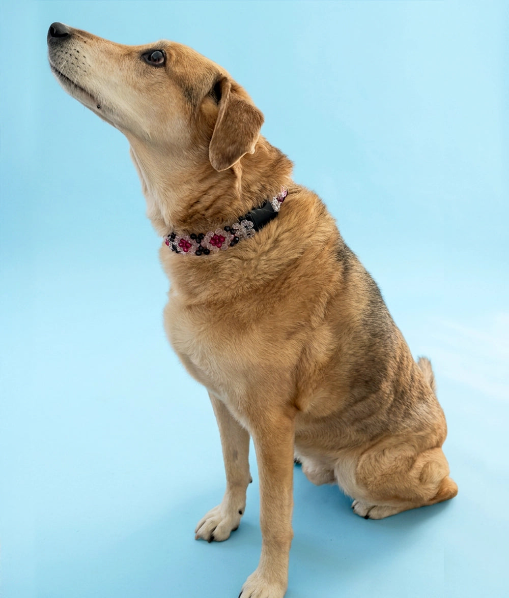 Obroża z koralików Berry Noir