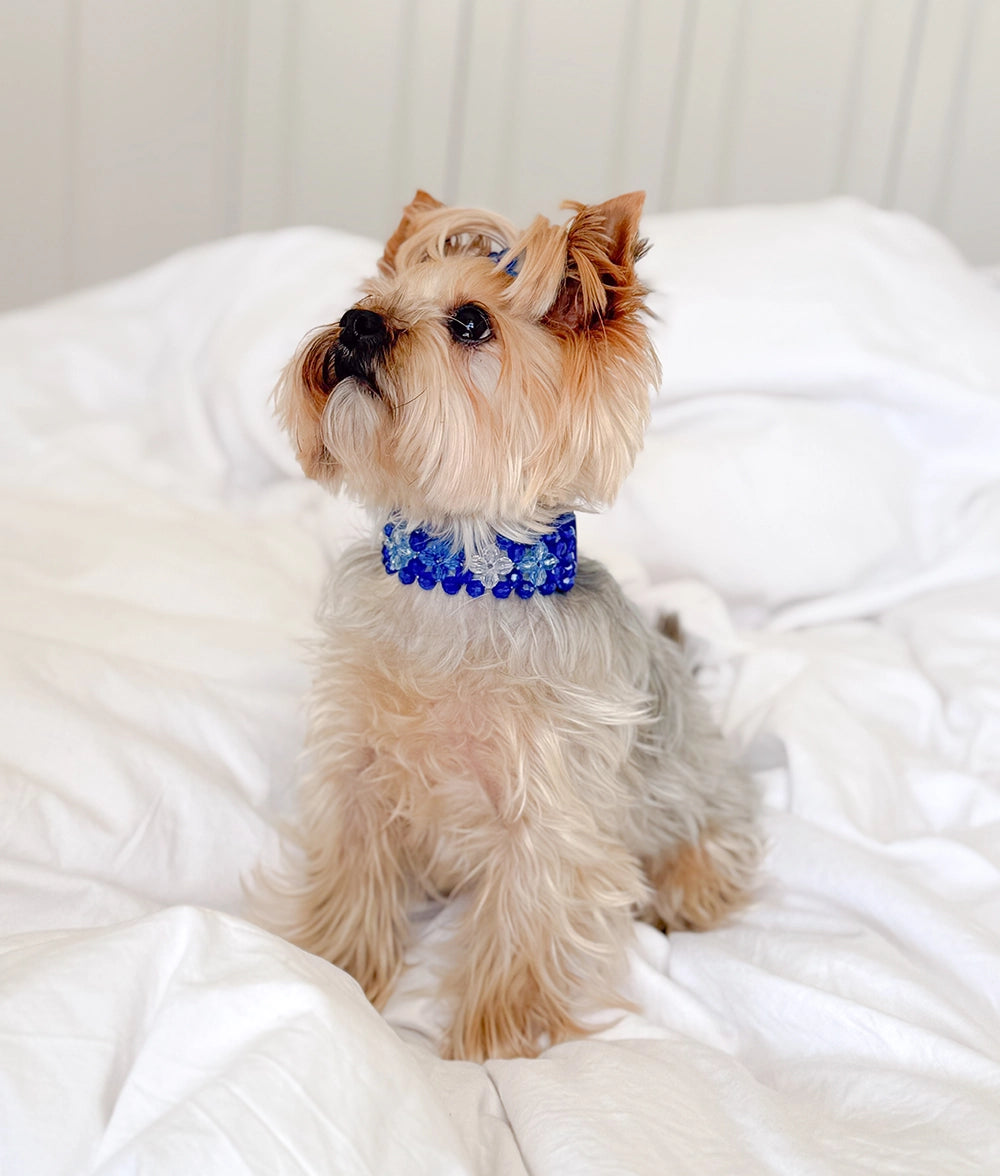 Obroża z koralików Midnight Blue