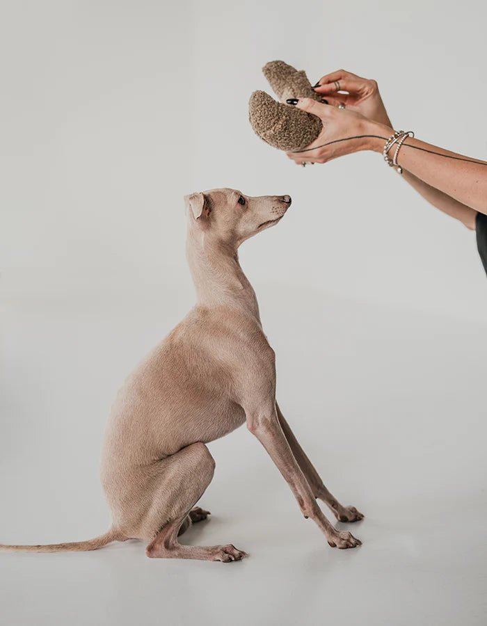 Zabawka węchowa / aktywizująca dla psa Croissant - Codino